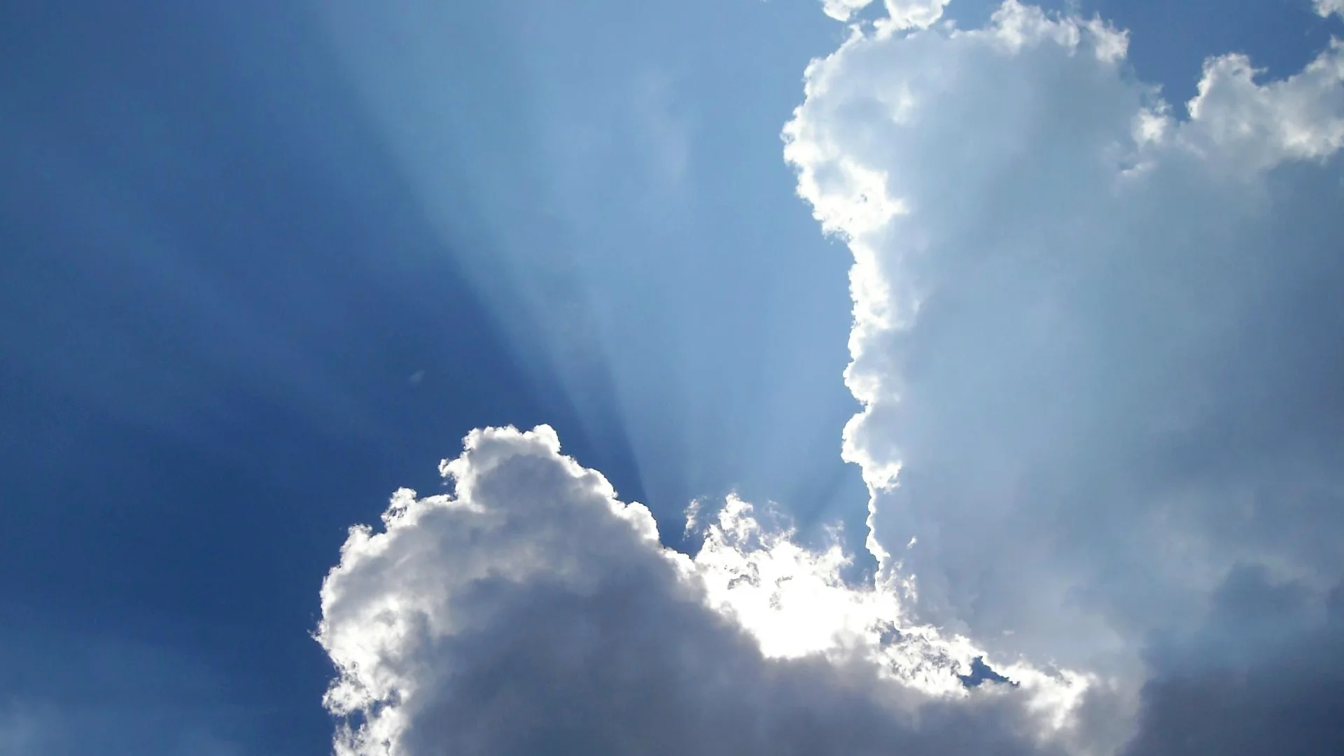 Ascension.webp