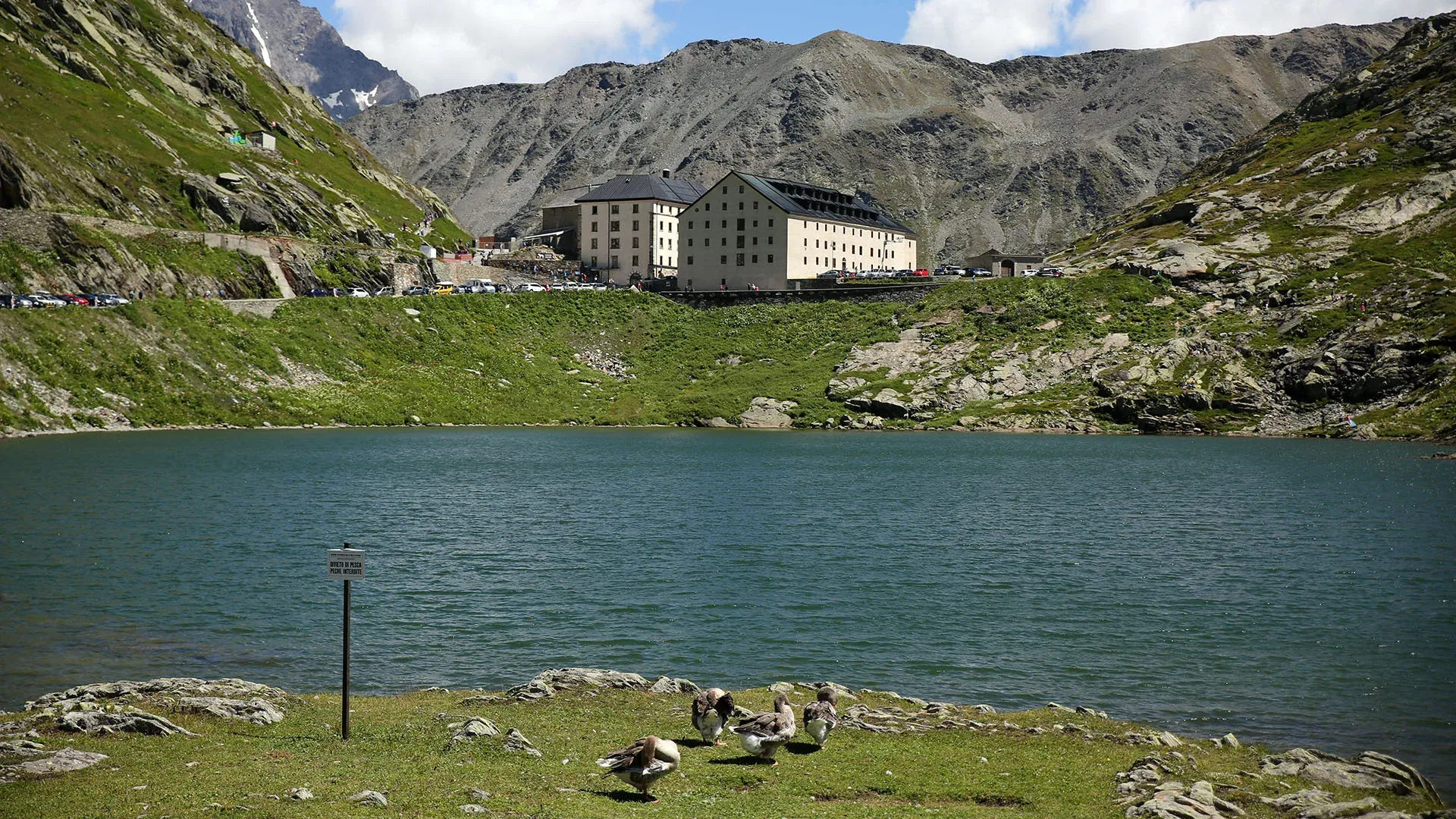 ColSaint-Bernard3748